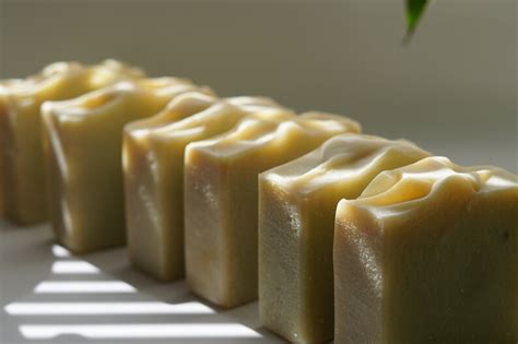 Tea Tree And Eucalyptus Soap Bar Handmade Soap All Natural Soap