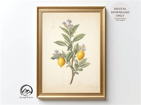 Vintage Lemon Tree Botanical Wall Art Vintage Kitchen Decor Printable