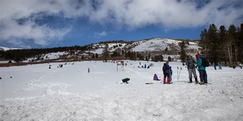 Tahoe Meadows Outdoor Project