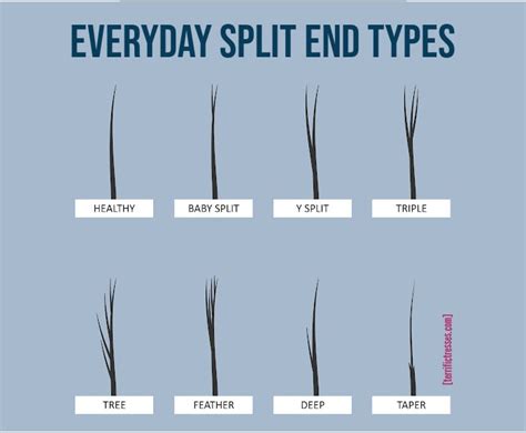 Detecting Different Types Of Split Ends And Banishing Them