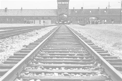 IL GIORNO DELLA MEMORIA Liliana Segre La Mia Vita Dopo Auschwitz