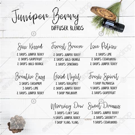 Juniper Berry Diffuser Blends On White Wood With Greenery By Sally Sosler