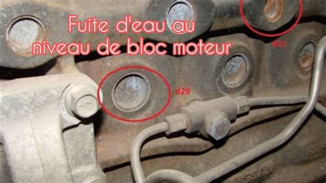 D Tecter Une Fuite D Eau Au Niveau Bloc Moteur Et Changer Une Pastille