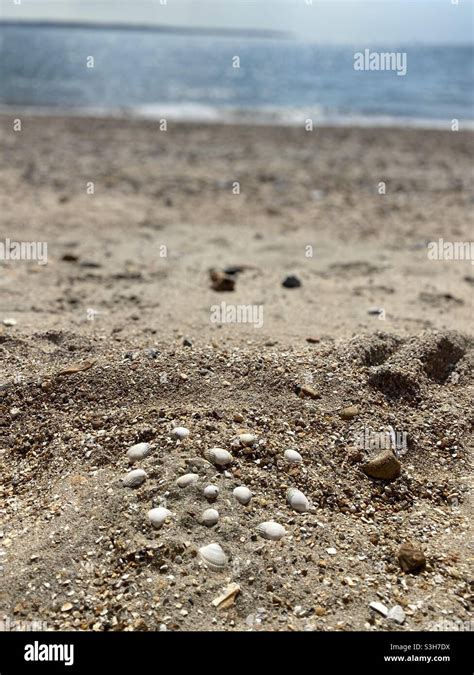 Shell Heart On The Beach Stock Photo Alamy