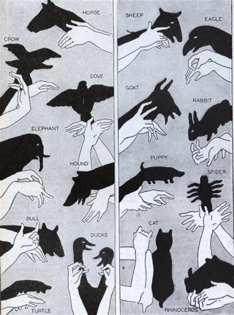 A guide for making Shadow Animals with your hands! : r/coolguides