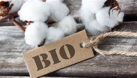 Quels Sont Les Avantages Du Coton Bio Biocologie