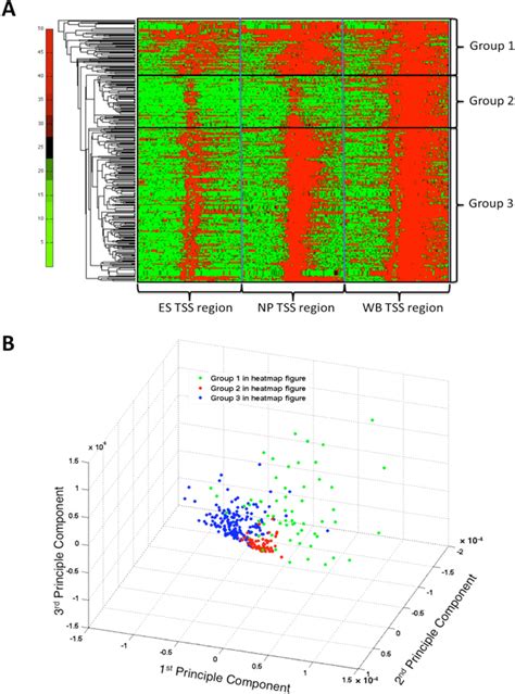 Hierarchical Clustering And Principal Component Analysis Pca Result Download Scientific