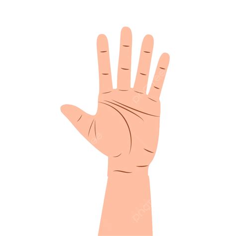 Finger Hand Gesture Vector Hd Images Hand Gesture Sign Vector Human In Cartoon Png Image For