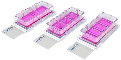 Chambered Cell Culture Slides Overview • Mattek Life Sciences