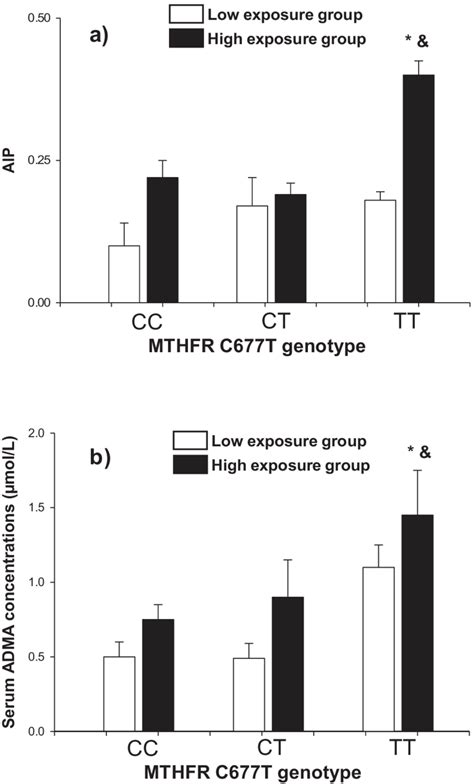 Effect Of MTHFR C677T Genotype On A AIP Values And B Serum ADMA