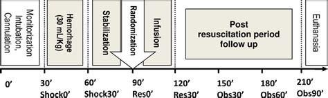 Timeline For The Experiment Download Scientific Diagram