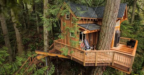 Behind The Build Christmas Treehouse Treehouse Masters Off