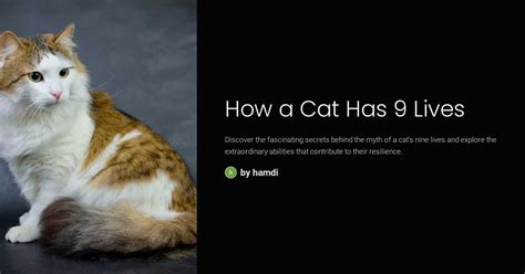 How a Cat Has 9 Lives
