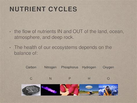 22 Nutrient Cycles In Ecosytems Ppt Download