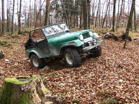 Bikini Top CJ5