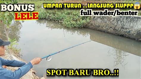 Spot Baru Ternyata Full Wader Ada Bonusnya Ikan Berkumis Alias Lele