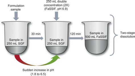 Integration Of Precipitation Kinetics From An In Vitro