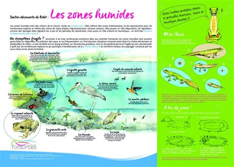 Panneau Zone Humide Mairie De Fonsorbes