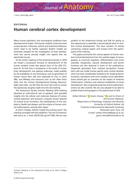 (PDF) Human cerebral cortex development