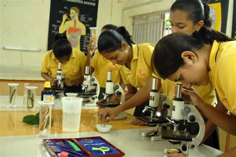 Assessment Of Practical Skills In Science Class 10 Mycbseguide