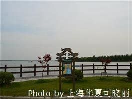 Shanghai Chongming Island, the Third Largest Island in China