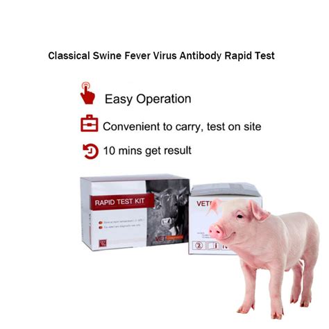 Classical Swine Fever Virus Antibody Rapid Test African Swine Fever China Classical Swine