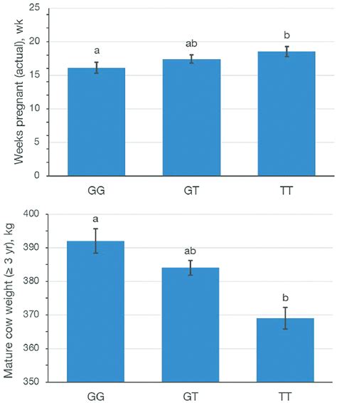 Least Squares Means For Continuous Heifer Fertility And Weight Traits