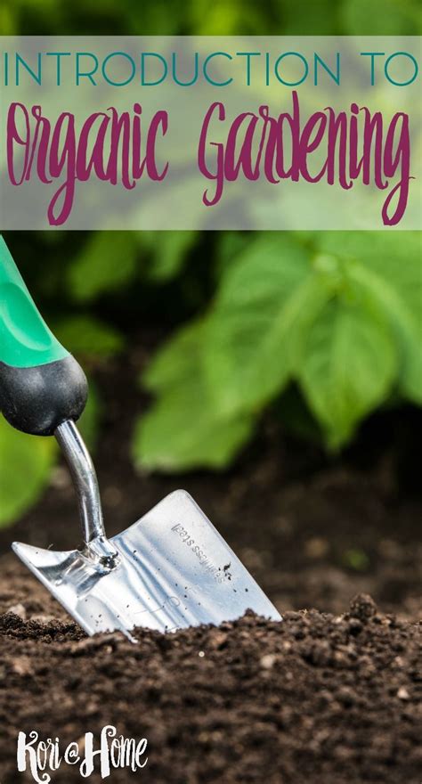 A Beginner S Guide To Organic Gardening Gardening For Beginners