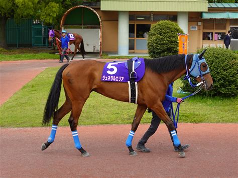 地方競馬が果たす「社会のため」の役割 地方競馬の楽天競馬｜日替わりライターブログ 楽天ブログ