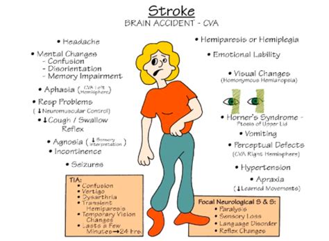 NURS 4301 Exam 3 Stroke Flashcards Quizlet