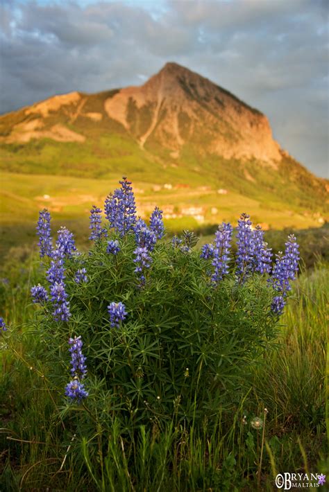 - Wildernessshots Photography