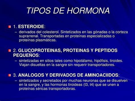 Ppt Sistema Endocrino Powerpoint Presentation Free Download Id 4961505