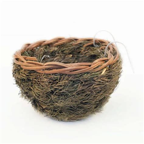 British Finch Pine Fir Nest Newport Pets