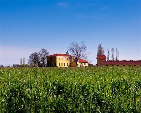 THE 15 BEST Things to Do in Parma (2025) - Must-See Attractions