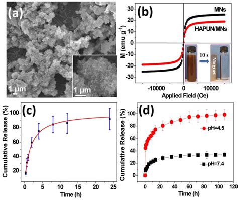 A Sem Micrograph Of The Magnetic Nanocomposite Consisting Of Cap Download Scientific Diagram