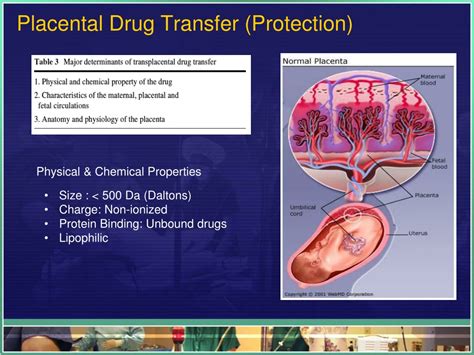 Ppt Anesthesia For The Obstetric Patient Undergoing Non Obstetric