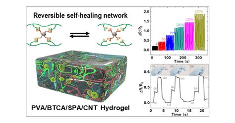 Multifunctional Double Network Self Healable Hydrogel And Its