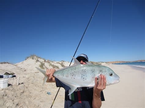 Few Pics From Warroora Station Fishing Fishing Wa