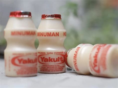 Manfaat Yakult Untuk Asam Lambung Benarkah Efektif