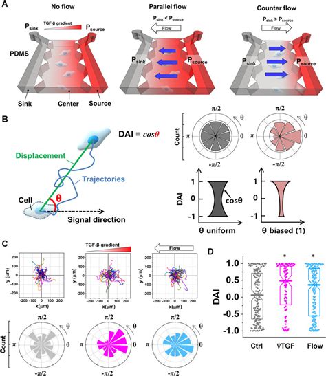 Microfluidic Platform Of Directed Cell Migration Under The Integrated