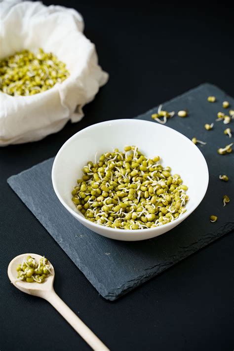 How To Sprout Mung Bean At Home A Step By Step Guide