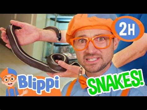 Blippi And Meekah Learn About Snakes Hours Of Educational Videos For