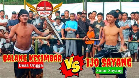 Ijo Sayang Vs Balang Kesimbar Peresean Terbaru Batu Kumbung Lingsar