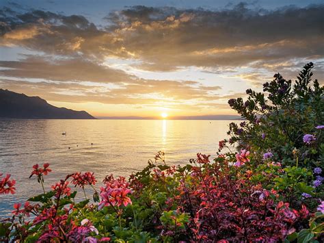 Sunset Over Lake Geneva Hills Springtime France Montreux Bonito