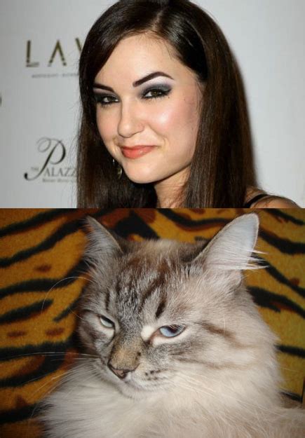 ПОЧЕМУ МОЙ КОТ НА НЕЁ ПОХОЖ / Саша Грей (sasha grey) / смешные картинки ...