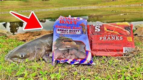 Killer Catfish Bait Free Shipping Available