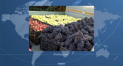 Iraq Imports 45 Million Worth Of Fruits And Citrus Fruits From Lebanon