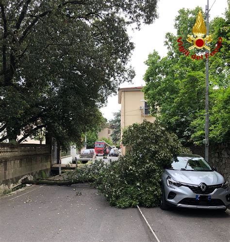 Ramo Si Stacca Dall Albero E Centra In Pieno Un Auto Parcheggiata