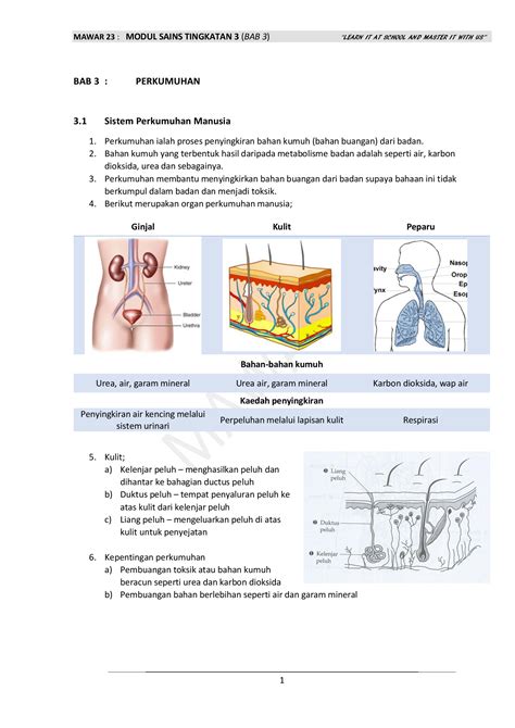 Pdf Modul Sains Tingkatan 3 Bab 3 Dokumen Tips