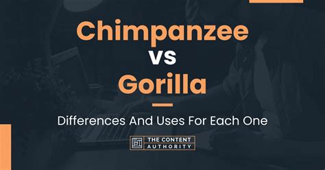 Chimpanzee vs Gorilla: Differences And Uses For Each One